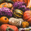 pumpkin-8349988_1280_100x100_adaptiveResize