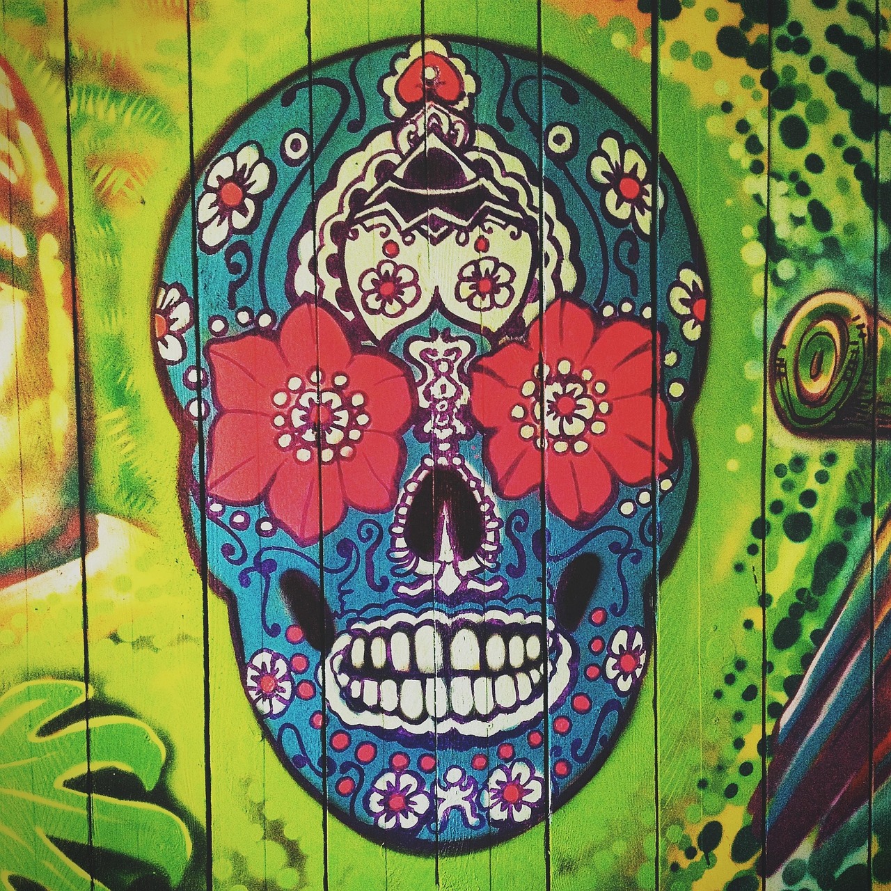 skull-450746_1280